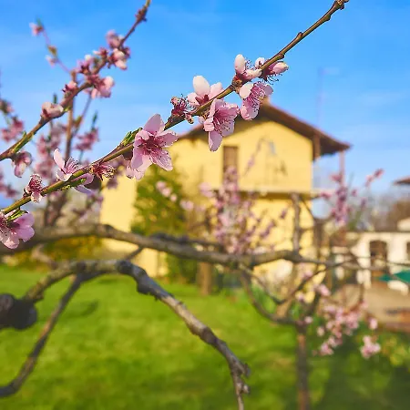 Bed & Breakfast Dormirdivino Forno Canavese