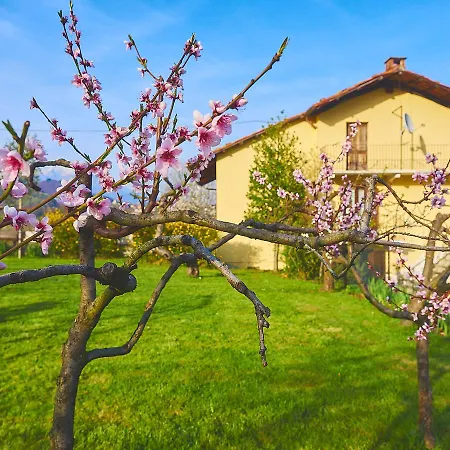Bed & Breakfast Dormirdivino *