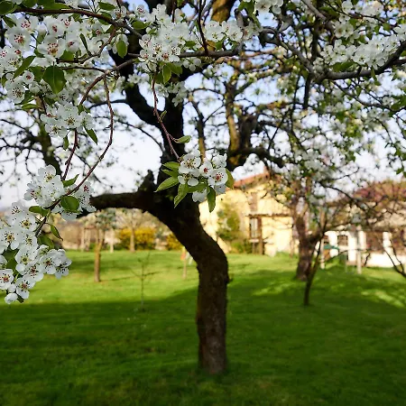 Dormirdivino Bed & Breakfast *